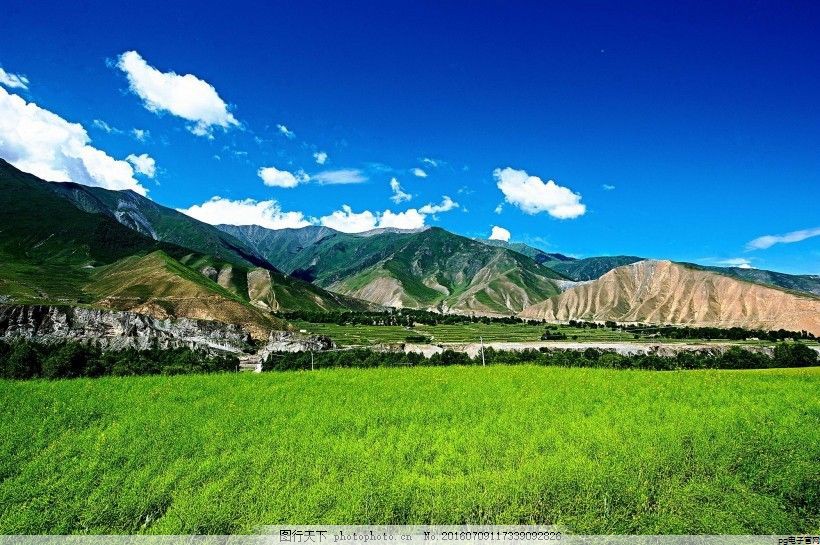 pg电子：中国预制菜产业博览会组委会是什么级别(2021中国预制菜行业市场前景及投资研究报告)