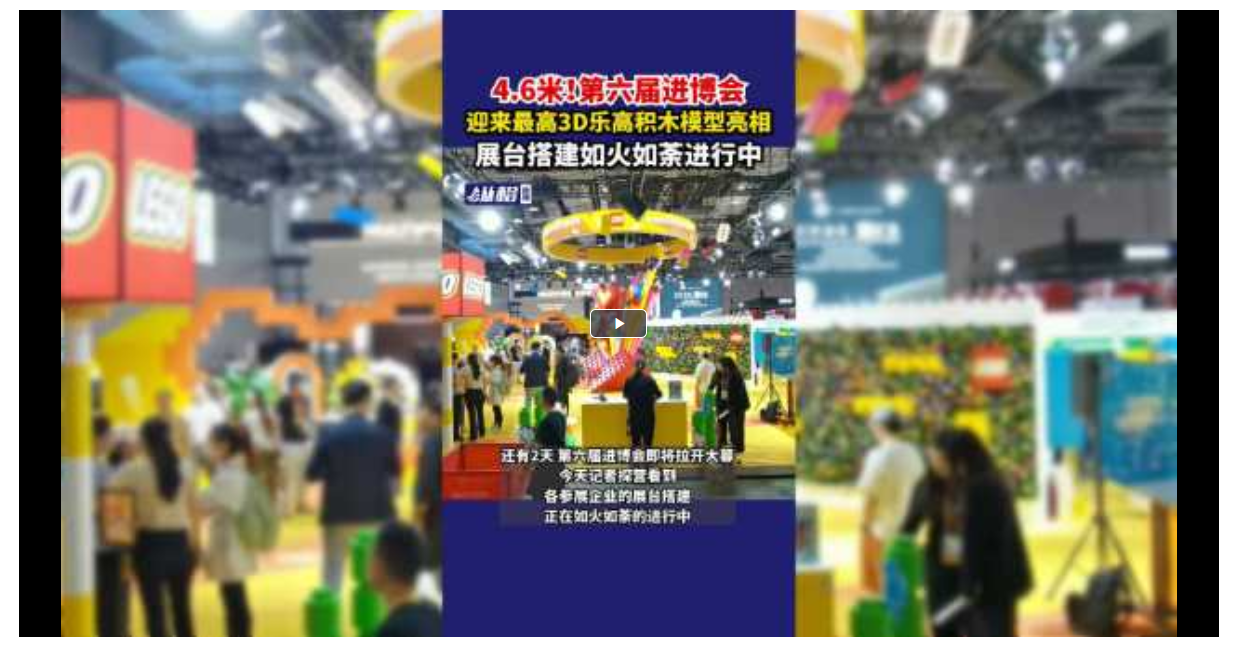PG平台官方网站46米！第六届进博会迎来最高3D乐高积木模型亮相展台搭建如火如荼